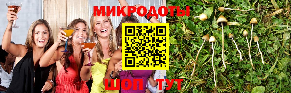 Псилоцибиновые грибы мицелий Ишим